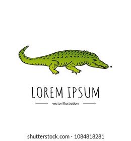 Hand drawn doodle Crocodile icon isolated on white background. Vector illustration  Alligator icon. Sketchy wild animal element. Cartoon scary gator with spike on spine River boat tour