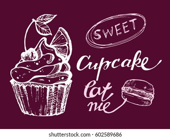 Hand drawn doodle cupcake. Eat me. Macaroon. Dessert vector illustration.