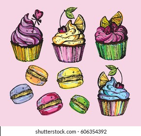 Hand drawn doodle cupcake.  Macaroon. Dessert vector illustration.