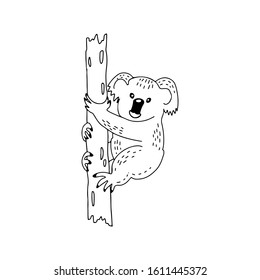 Hand drawn doodle of cute koala vector illustration isolated on white background. Koala sketch icon for infographic, website, print, banner, color book, pages. Save Australia concept