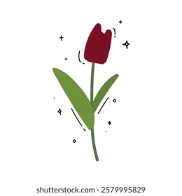 Hand drawn doodle cute Lili single flower vector illustration with color for gift, card and design. Isolated. Clip art.