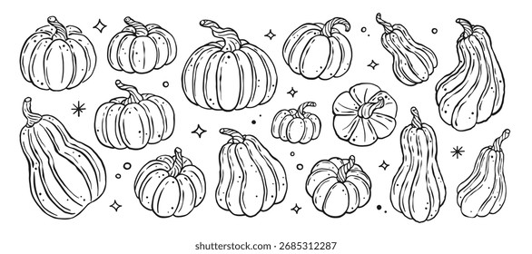 Dibujado a mano doodle lindo Vector de calabaza conjunto de colección. Silueta de la cosecha de calabaza de otoño.