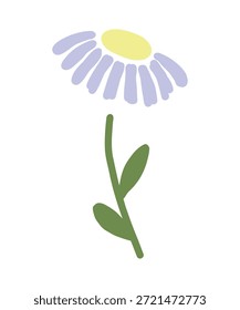 Hand Drawn Doodle Daisy Flower Illustration