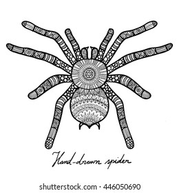 Hand drawn doodle design of spider for T-Shirt graphic,adult coloring book and tattoo - Stock vector