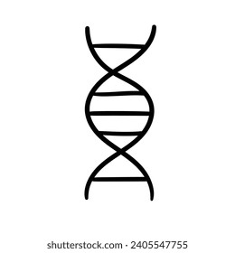Hand drawn doodle of a dna molecule isolated on a white background. Vector illustration.