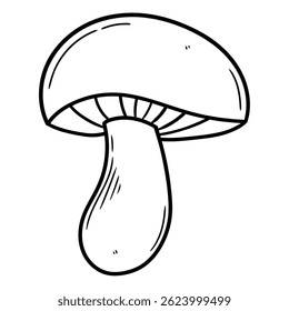 Hand drawn doodle edible mushroom isolated on white background. Vector illustration.