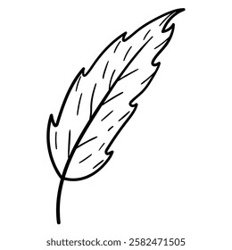 Hand drawn doodle feather isolated on white background. Vector illustration.