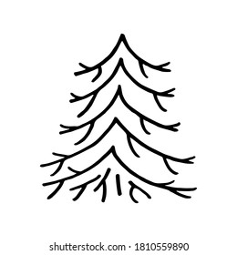 Hand drawn  doodle fir tree isolated on white background. Conifer sketch. Vector illustration. Design for print, banner, greeting card, logo
