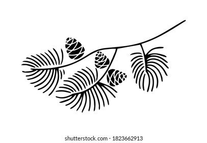 Hand drawn doodle of fir tree branch with cones isolated on white background. Conifer sketch. Vector illustration. Design for print, banner, greeting card, logo