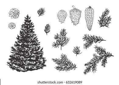 Hand drawn doodle fir tree,branches and cones vector illustrations set.