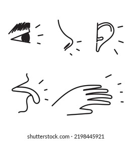 hand drawn doodle Five senses vector icon illustration set