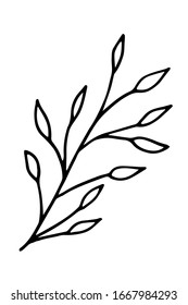 Hand drawn doodle floral element. Simple thick black line. Best for design of nature and children's coloring book. Vector illustration isolated on white background.