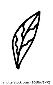 Hand drawn doodle floral element, leaf. Simple thick black line. Best for design of nature and children's coloring book. Vector illustration isolated on white background.