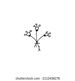 Hand drawn doodle floral element, abstract plant for decoration, isolated vector illustration