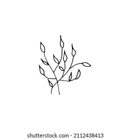 Doodle dibujado a mano de elemento floral, planta abstracta para decoración, ilustración vectorial aislada