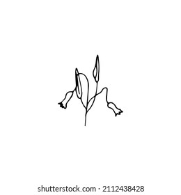 Hand drawn doodle floral element, abstract plant for decoration, isolated vector illustration