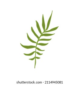 Hand drawn doodle floral element,  colored abstract plant for decoration, isolated vector illustration