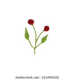 Doodle dibujado a mano de elementos florales, planta abstracta de color para la decoración, ilustración vectorial aislada