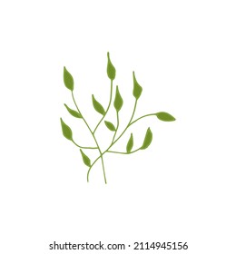 Hand drawn doodle floral element,  colored abstract plant for decoration, isolated vector illustration