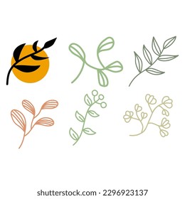 hand drawn doodle floral elements. vector graphic botanical elements