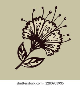 Hand drawn doodle floral - flower and leaf