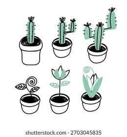 Dibujado a mano doodle flor y cactus en colección de olla