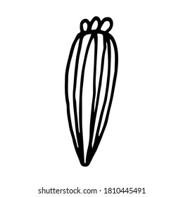 Ilustración de la cabeza de la flor del doodle dibujada a mano. Elemento floral simple aislado en fondo blanco
