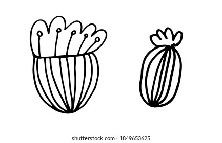 Hand drawn doodle flower head illustration. Simple floral element isolated on white background
