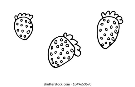 Hand drawn doodle flower head illustration. Simple floral element isolated on white background