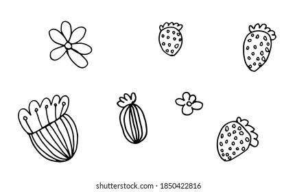 Ilustración de la cabeza de la flor del doodle dibujada a mano. Elemento floral simple aislado en fondo blanco