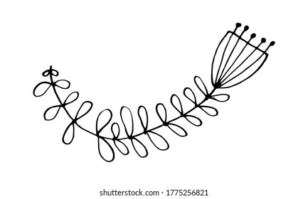 Hand drawn doodle flower illustration. Simple floral element isolated on white background