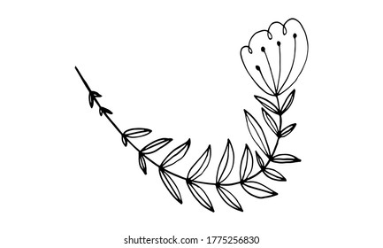 Hand drawn doodle flower illustration. Simple floral element isolated on white background