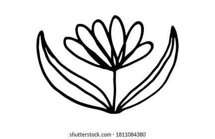 Hand drawn doodle flower illustration. Simple floral element isolated on white background