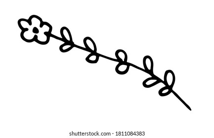 Hand drawn doodle flower illustration. Simple floral element isolated on white background