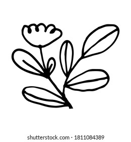 Hand drawn doodle flower illustration. Simple floral element isolated on white background