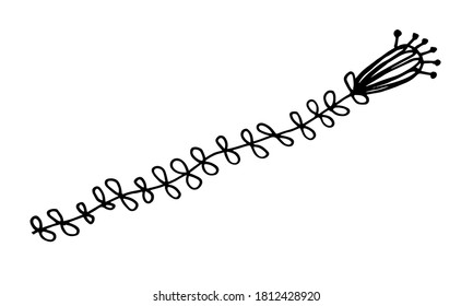 Hand drawn doodle flower illustration. Simple floral element isolated on white background