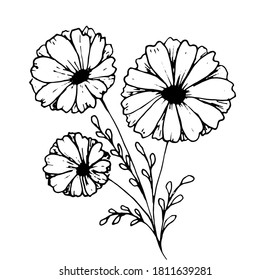 Hand drawn doodle flower. Isolated on white. Vector