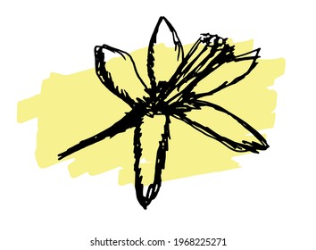 Hand drawn doodle flower of lemon. Vector illustration for backgrounds, textile prints, menu, web and graphic