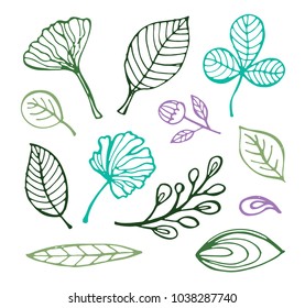 Hand drawn doodle flower pattern. Summer flower and leaf