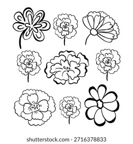 Conjunto de flores de doodle dibujado a mano