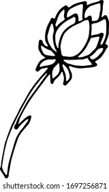 handgezeichnete Doodle-Blume. Einfache Kollektion von Blumenskizzen. schwarz-weiß. Vektorillustration einzeln auf weißem Hintergrund.