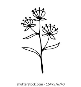 Flor de doodle dibujada a mano. Ilustración vectorial de una flor. Esbozar elemento para diseño gráfico y web.