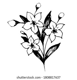 Hand drawn doodle flower. Vector illustration. Perfect for cards, invitations, wedding and floral design