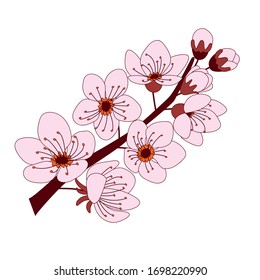 Hand drawn doodle flowers of cherry blossom. Colorful cartoon vector illustration sakura twig isolated on the white background.  EPS 10
