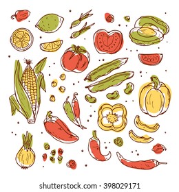 Hand drawn doodle Fresh Fruits and Vegetables - Vector set