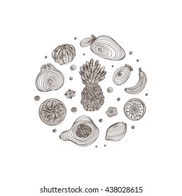 Hand Drawn Doodle Fruit icons with spiral pattern Vector Set. Abstract Black and white striped fruits: pineapple, banana, lemon, pomegranate, mango, pineapple guava, orange, tangerine, papaya, kiwi