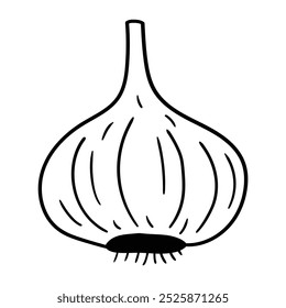 Alho de rabiscar desenhado à mão isolado no fundo branco. Ilustração vetorial.