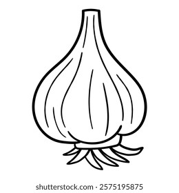 Hand drawn doodle garlic isolated on white background. Vector illustration.