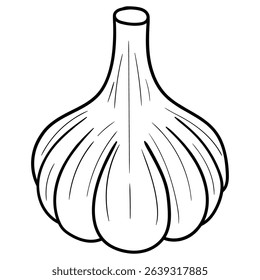 Hand drawn doodle garlic isolated on white background. Vector illustration.
