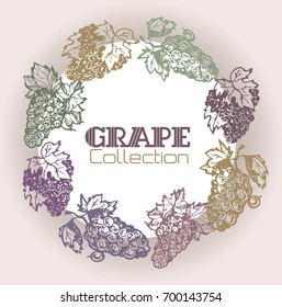 Hand drawn doodle grape
